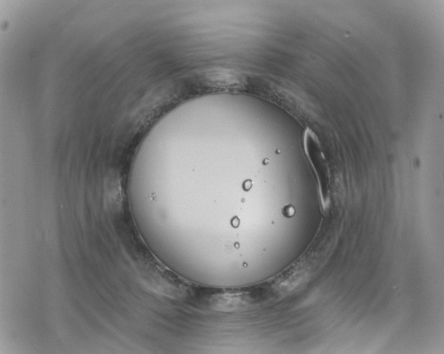 X0000076400320200610161211