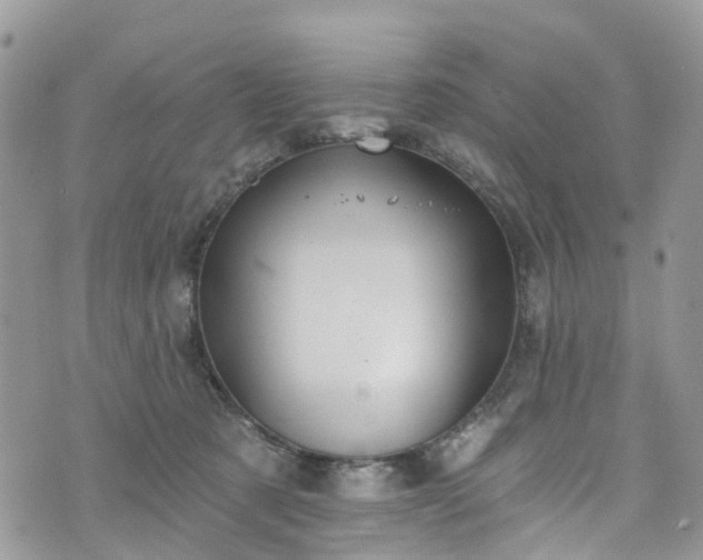 X0000076400321200610161211