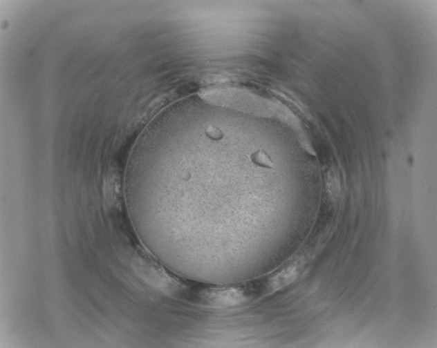 X0000076400322200610161211