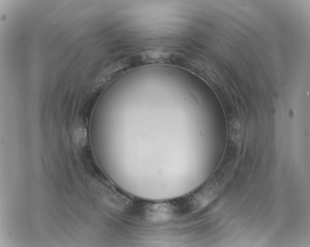 X0000076400324200610161211