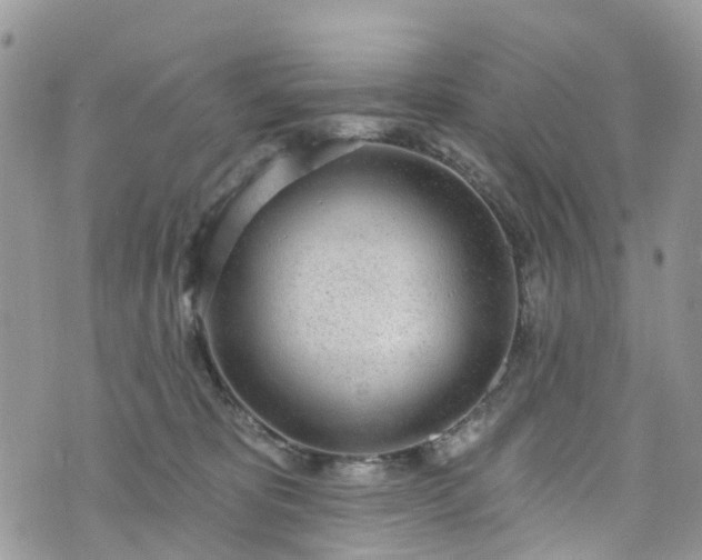 X0000076400325200610161211