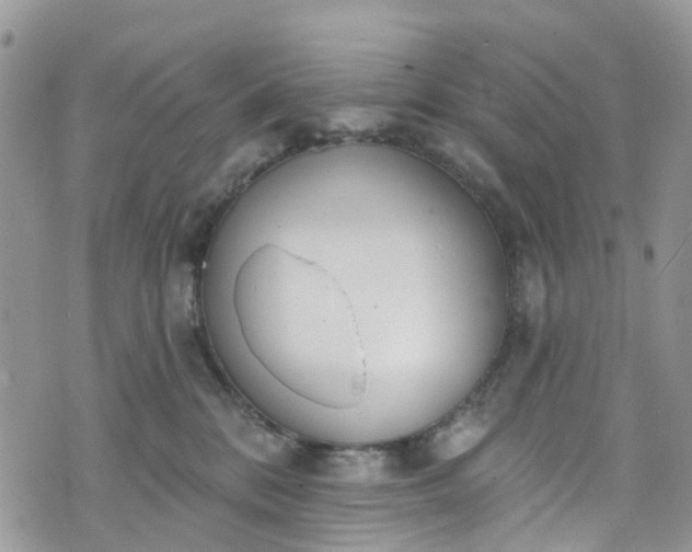 X0000076400328200610161211