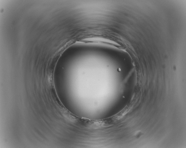 X0000076400329200610161211