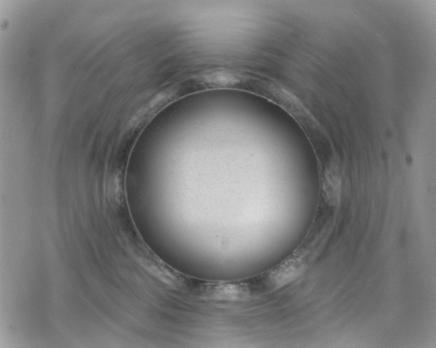 X0000076400330200610161211