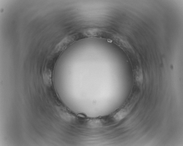 X0000076400332200610161211