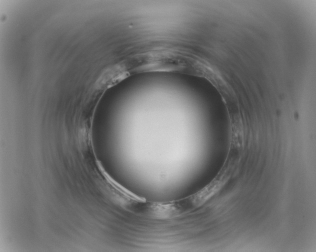 X0000076400333200610161211