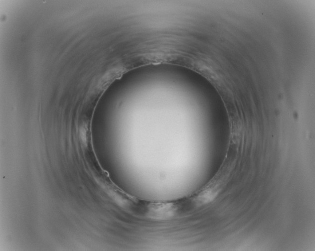 X0000076400334200610161211