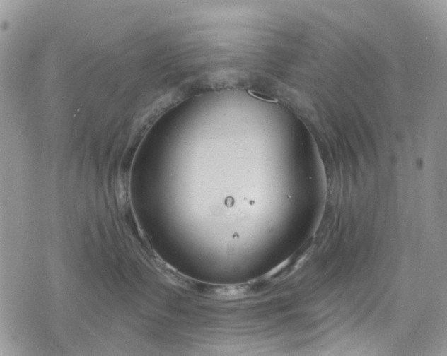 X0000076400335200610161211