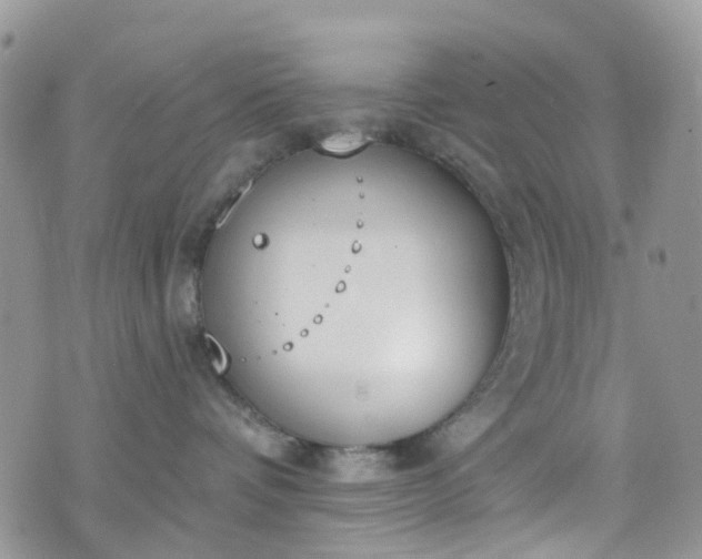 X0000076400336200610161211