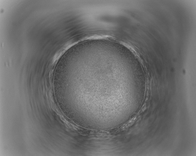 X0000076400337200610161210