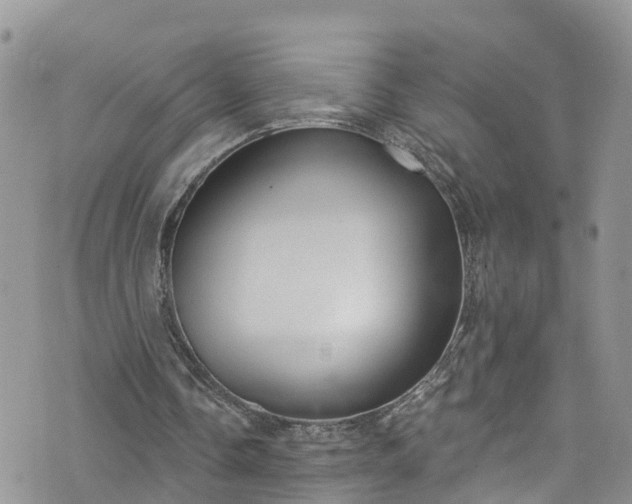 X0000076400338200610161210