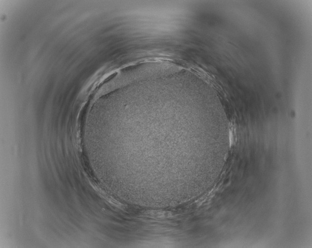 X0000076400339200610161210