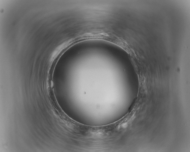 X0000076400340200610161210