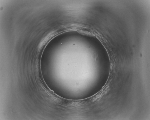 X0000076400341200610161210