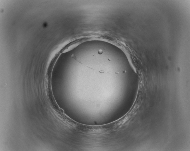 X0000076400342200610161210