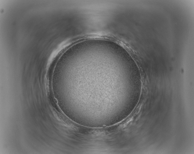 X0000076400343200610161210