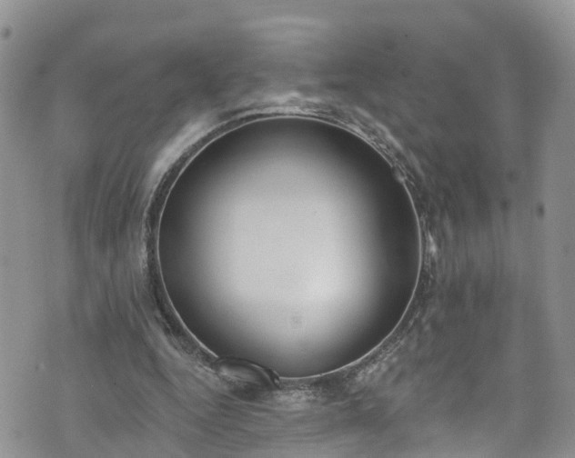 X0000076400344200610161210