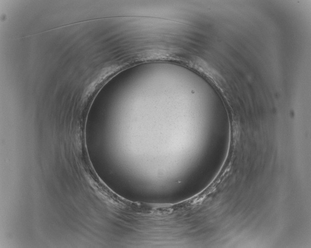 X0000076400345200610161210