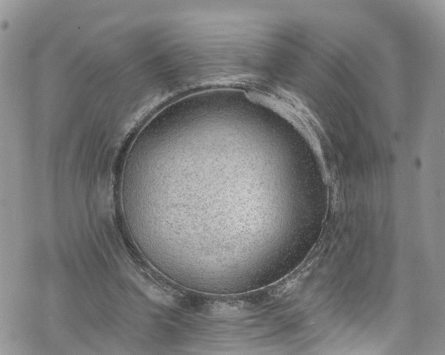 X0000076400346200610161211