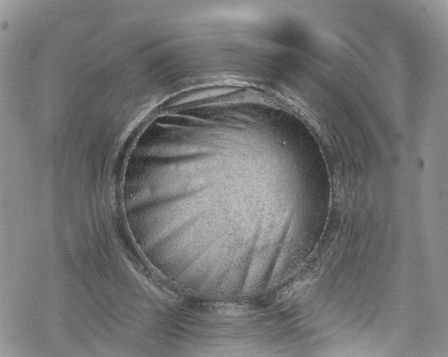 X0000076400347200610161211