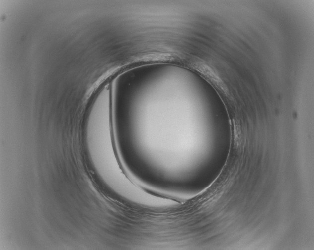 X0000076400348200610161211