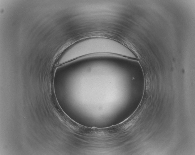 X0000076400349200610161211