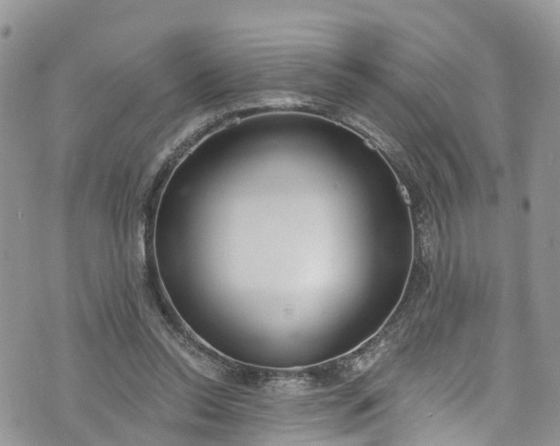 X0000076400350200610161211