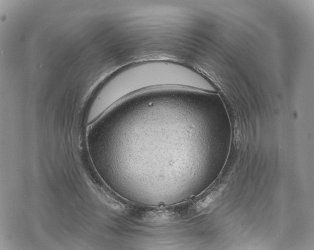 X0000076400351200610161211