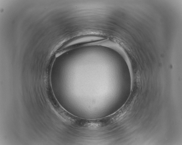 X0000076400352200610161211