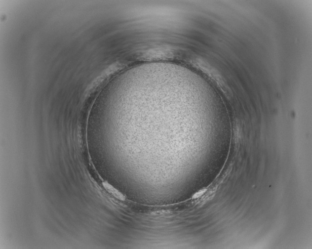 X0000076400353200610161211