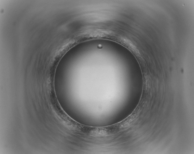 X0000076400354200610161211