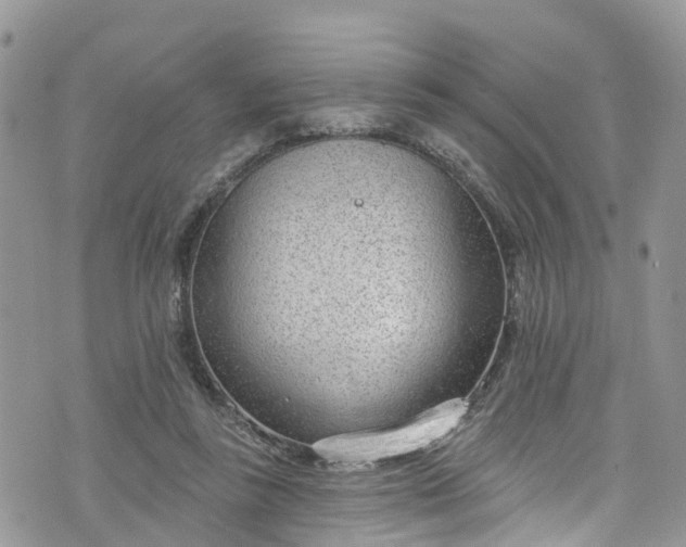 X0000076400355200610161211