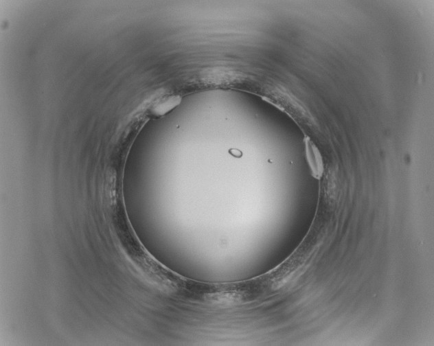 X0000076400356200610161211