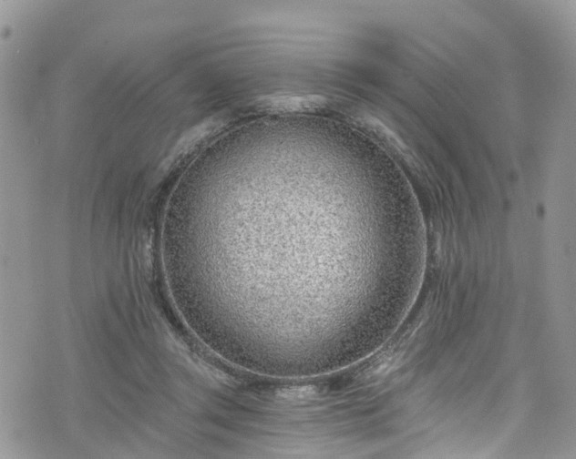 X0000076400357200610161211