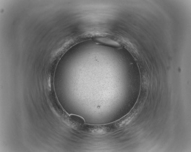 X0000076400358200610161211