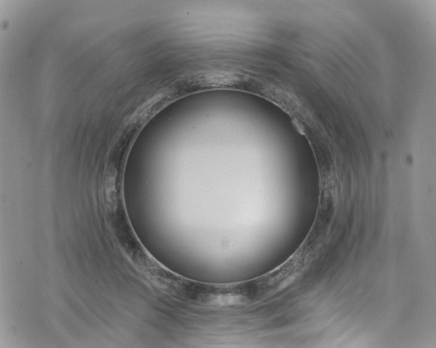 X0000076400360200610161211