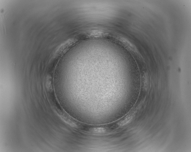 X0000076400361200610161211