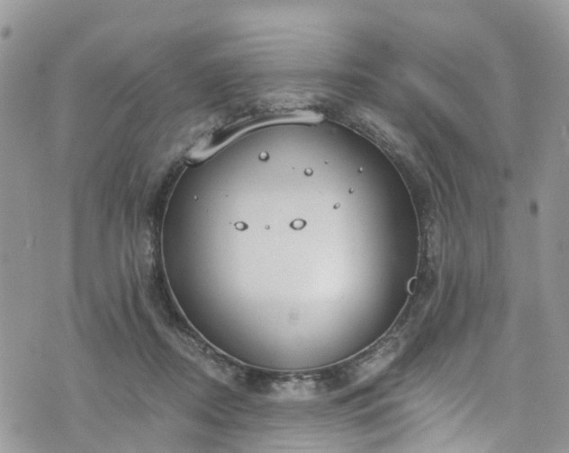 X0000076400362200610161211