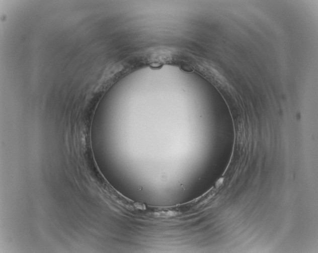 X0000076400363200610161211