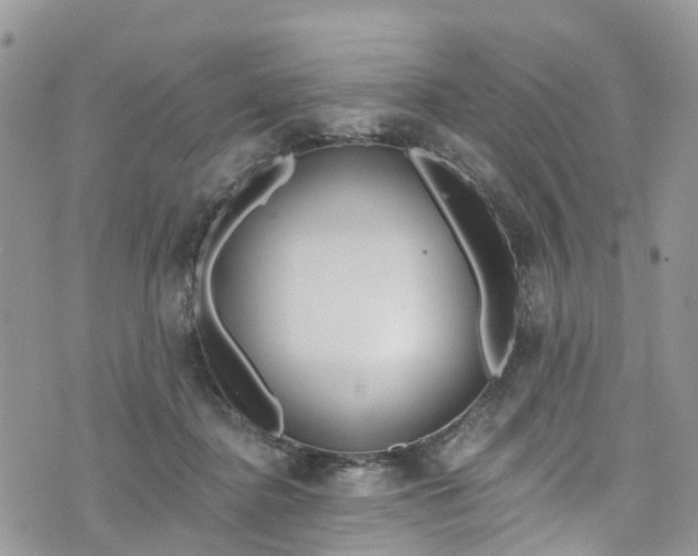 X0000076400364200610161211