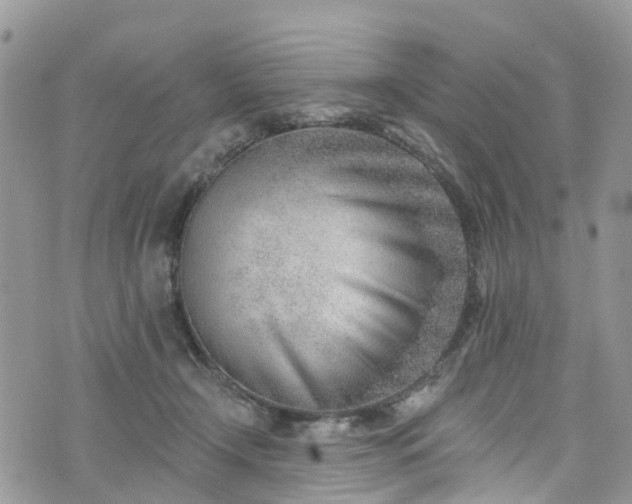 X0000076400366200610161211