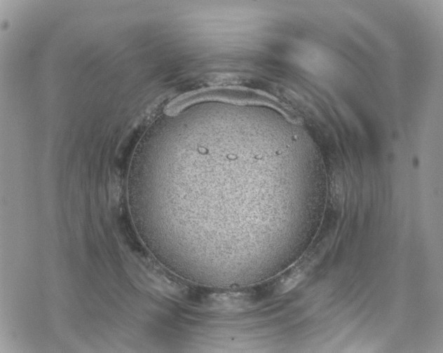 X0000076400367200610161211