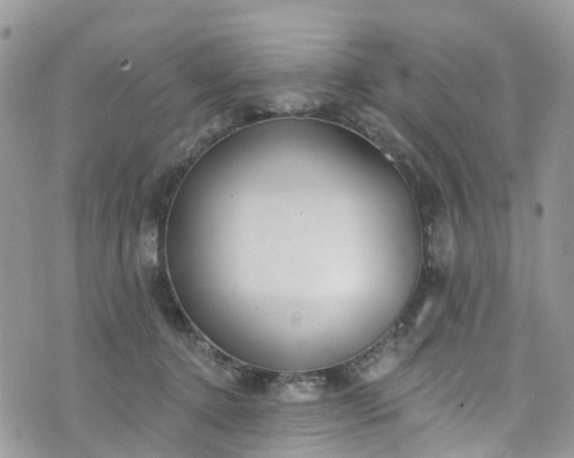 X0000076400368200610161211