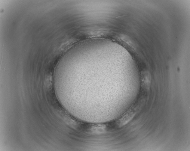 X0000076400369200610161211