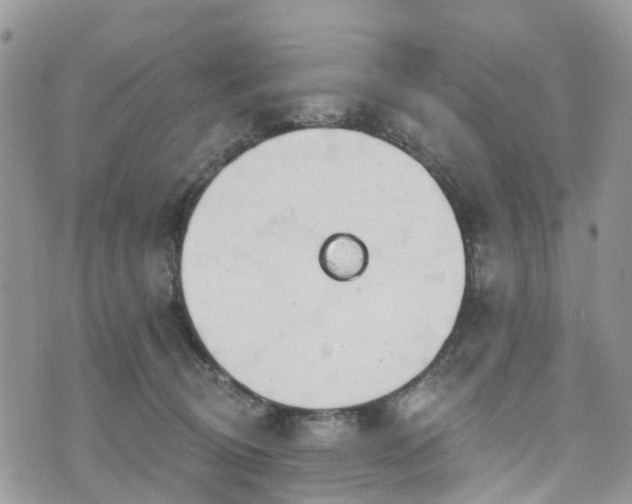 X0000076400370200610161211