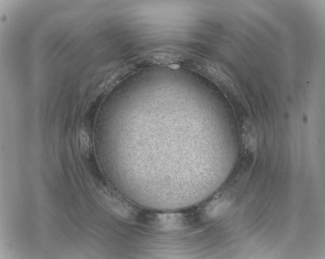 X0000076400371200610161211