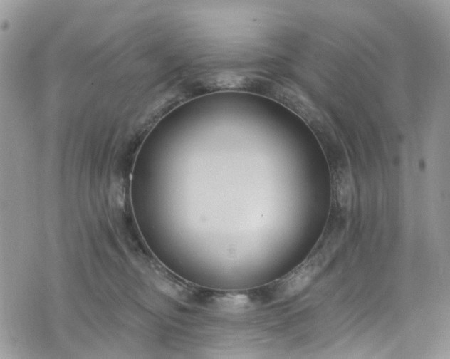 X0000076400374200610161211