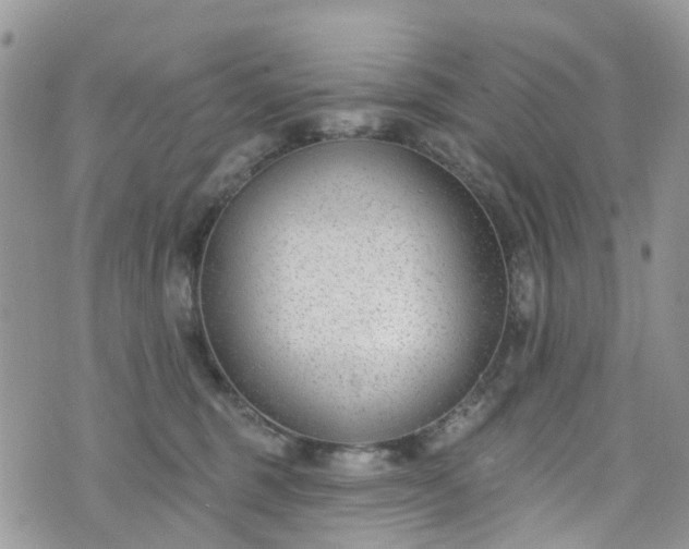 X0000076400375200610161211