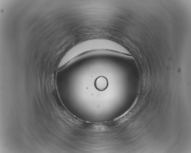 X0000076400376200610161211