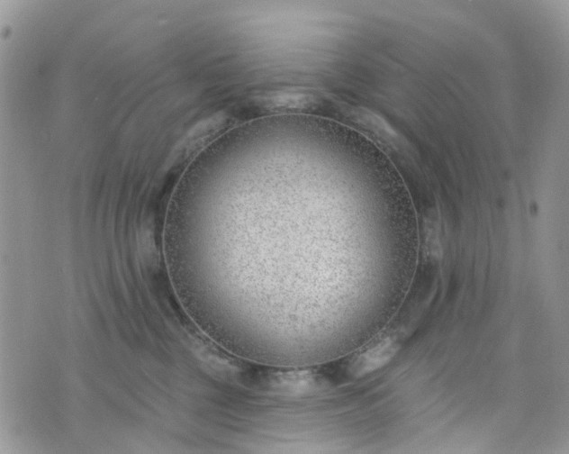 X0000076400377200610161211